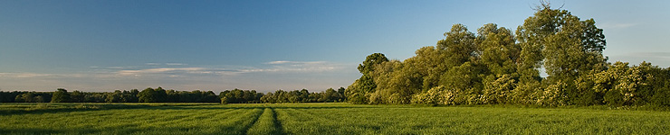 Úvodní stránka | Region Poodří (Foto: Pavel Szabo)